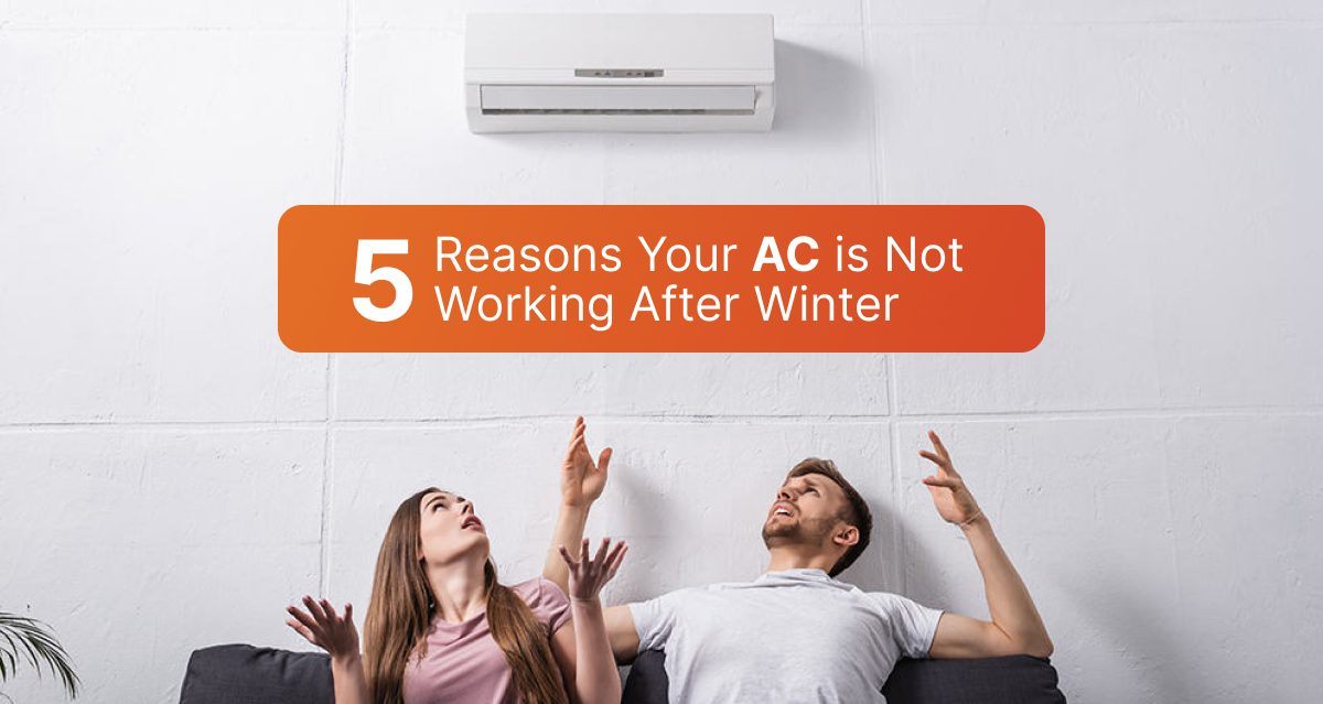 5 Reasons Your AC is Not Working After Winter