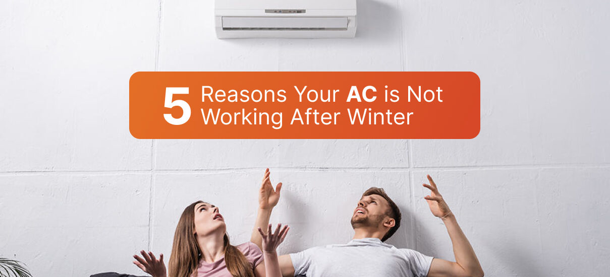 5 Reasons Your AC is Not Working After Winter