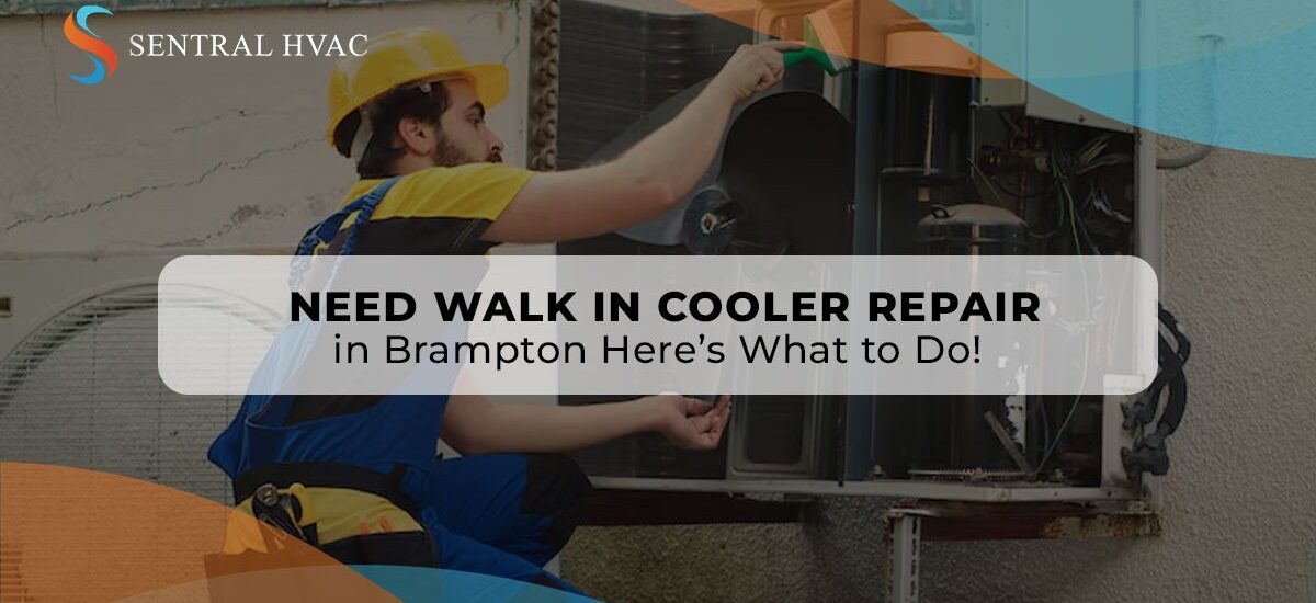 Need Walk-In Cooler Repair In Brampton? Here’s What To Do