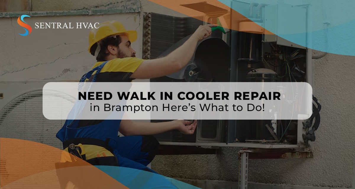 Need Walk-In Cooler Repair In Brampton? Here’s What To Do