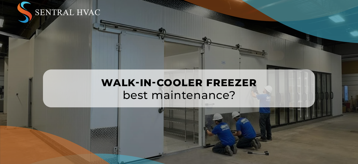 Walk-In-Cooler Freezer Best Maintenance