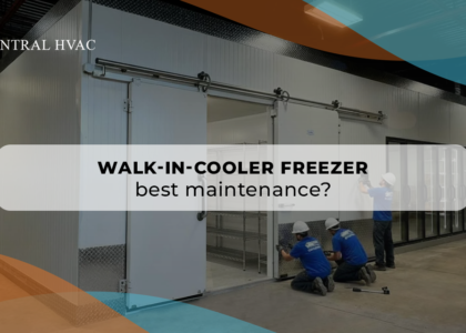 Walk-In-Cooler Freezer Best Maintenance