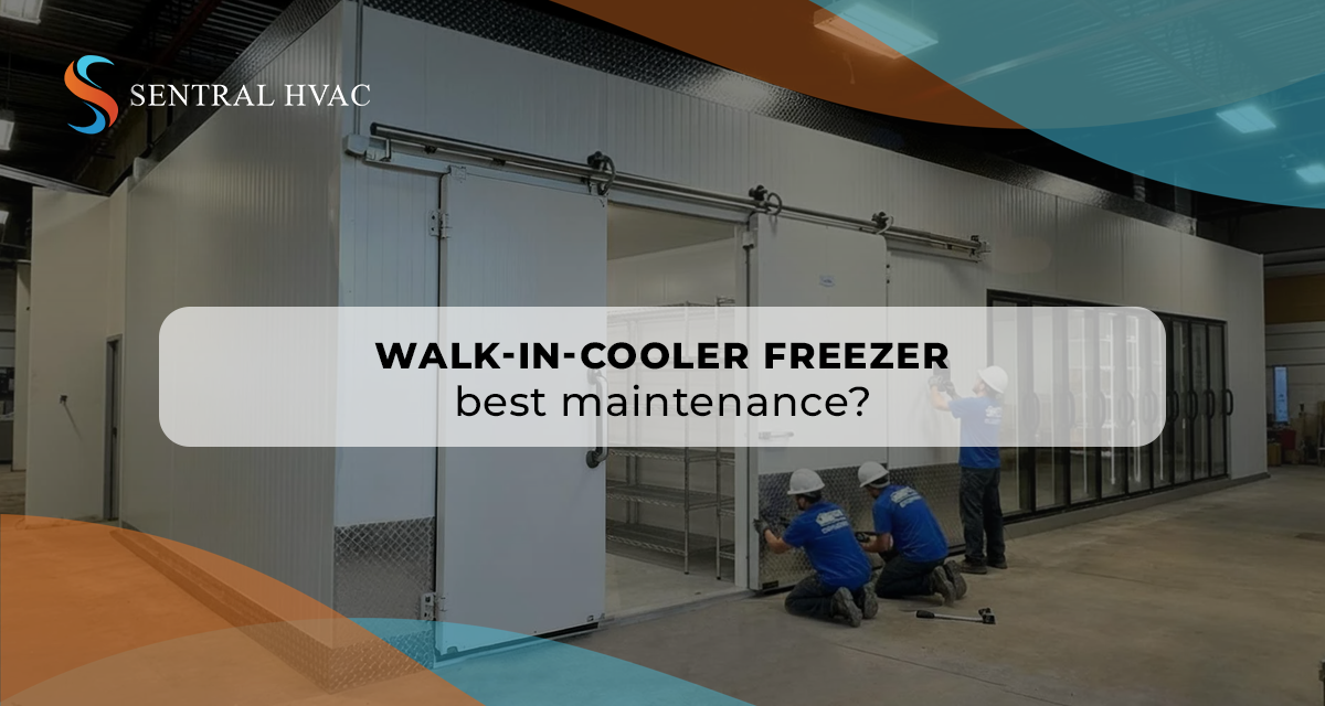Walk-In-Cooler Freezer Best Maintenance