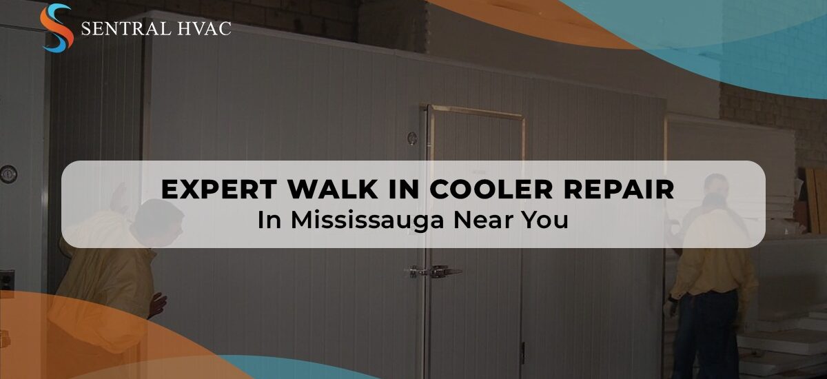 Expert Walk-In Cooler Repair In Mississauga Near You