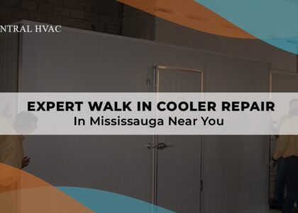 Expert Walk-In Cooler Repair In Mississauga Near You