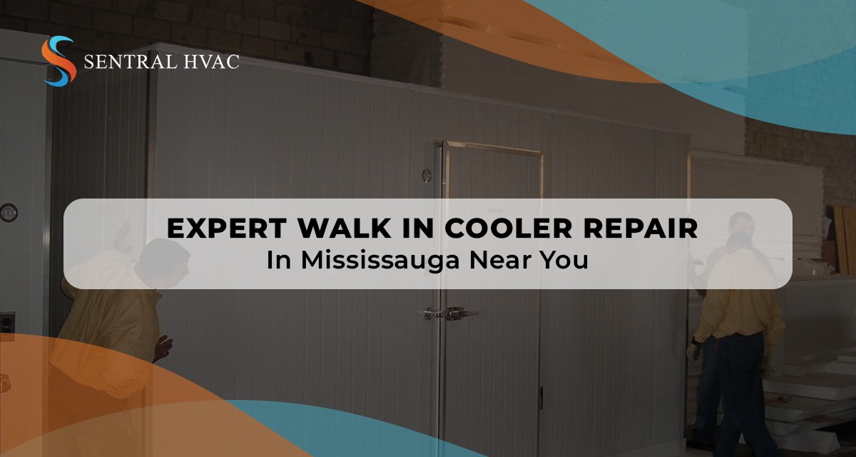 Expert Walk-In Cooler Repair In Mississauga Near You