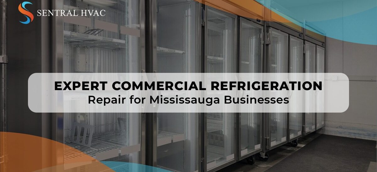 Expert Commercial Refrigeration Repair For Mississauga Businesses