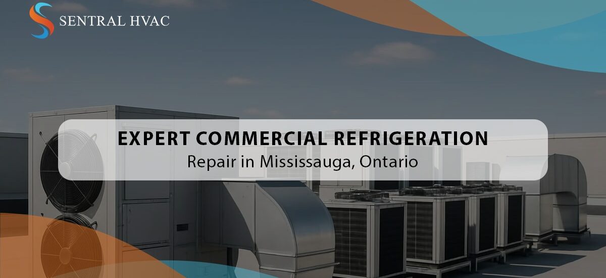 Expert Commercial Refrigeration Repair In Mississauga, Ontario