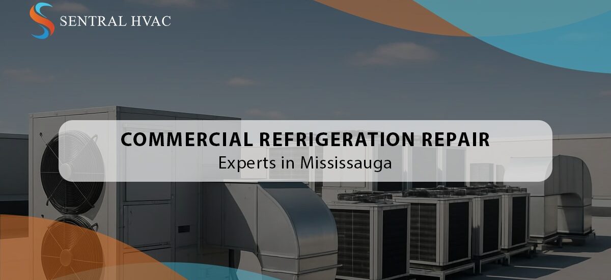 Commercial Refrigeration Repair Experts In Mississauga