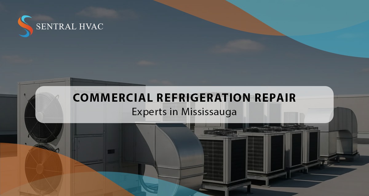 Commercial Refrigeration Repair Experts In Mississauga
